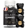 Shilajit Gummies – 60 Gommes Shilajit Pure Himalaya Sans Sucre, Vegan & Naturelles – 71 % Acide Fulvique – 300 mg par Portion...