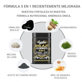 VitalVibe Himalaya Shilajit Gommes | Avec oligo-éléments et acide fulvique | Pour hommes et femmes | Purs et naturels | Végét