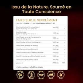 BeepWell Gummies de Shilajit 3000 mg – Complexe 10-en-1 Himalayen avec Acide Fulvique, 85+ Minéraux et Ashwagandha – Bonbons ...