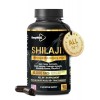 BeepWell Gummies de Shilajit 3000 mg – Complexe 10-en-1 Himalayen avec Acide Fulvique, 85+ Minéraux et Ashwagandha – Bonbons ...