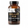 Shilajit Pur Gélules 300 mg – Extrait Standardisé à 50% d’Acide Fulvique – Complément Alimentaire Premium – Énergie & Vitalit