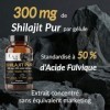 Shilajit Pur Gélules 300 mg – Extrait Standardisé à 50% d’Acide Fulvique – Complément Alimentaire Premium – Énergie & Vitalit