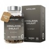 Shilajit Pure Himalaya 36000mg Extrait 30:1 | 50% Acide Fulviques Qualité Premium - Shilajite Energie et Immunité 100% Végéta