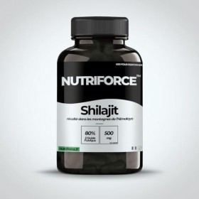 Capsules de Shilajit de lHimalaya – 60 capsules – 500 mg