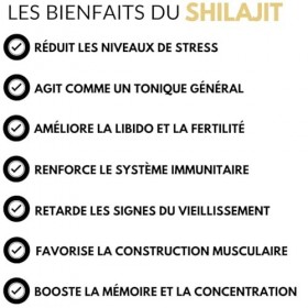 Shilajit grade OR - Résine pure authentique | Qualité premium | Purifié | Récolté dans les montagnes de lHimalaya | Ayurve