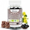 VITALAM Gummies Shilajit Pur Bio, Shilajit Himalaya, Boost métabolisme, Libido et Energie, Acide Fulvique, Soutien Immunitair