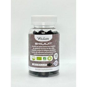 VITALAM Gummies Shilajit Pur Bio, Shilajit Himalaya, Boost métabolisme, Libido et Energie, Acide Fulvique, Soutien Immunitair