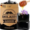 Shilajit Gummies Pure Himalaya – 60 Gommes Naturelles avec Miel de Manuka – 1600 mg par Jour – Sans Sucre, Vegan – Shilajite 