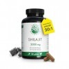 Shilajit 40.000 mg extrait 20:1 - Gélules Himalaya originales contenant 50% dacide fulvique et 12% dacide humique – 180 g