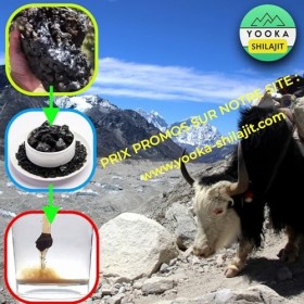YOOKA Shilajit RESINE 30G naturelle ARTISANALE OR pure. 70% ACIDE FULVIQUE, test en laboratoire garantissant +85 minéraux, 12