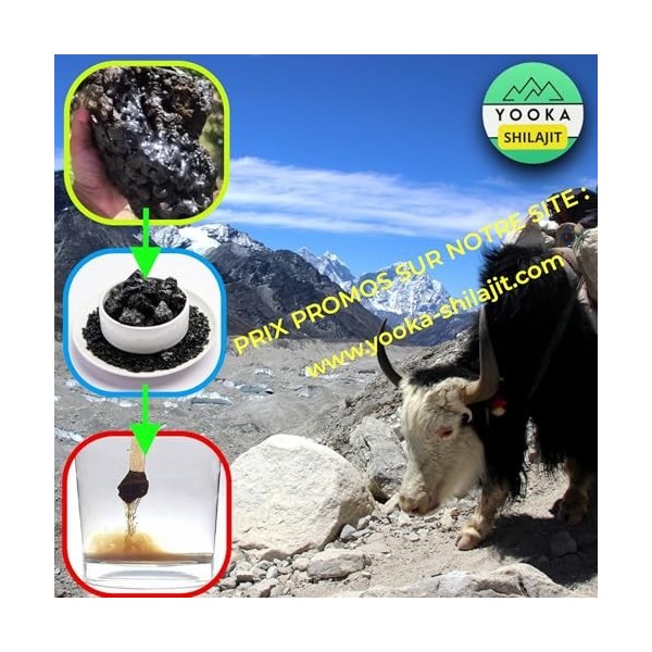 YOOKA Shilajit RESINE 30G naturelle ARTISANALE OR pure. 70% ACIDE FULVIQUE, test en laboratoire garantissant +85 minéraux, 12