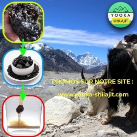 YOOKA Shilajit RESINE 50G naturelle ARTISANALE OR pure. 70% ACIDE FULVIQUE, test en laboratoire garantissant +85 minéraux, 12