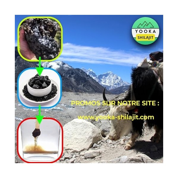 YOOKA Shilajit RESINE 50G naturelle ARTISANALE OR pure. 70% ACIDE FULVIQUE, test en laboratoire garantissant +85 minéraux, 12