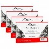 Shilajit Pure Mumijo Altai Baume de Montagne 4 x 60 comprimés Haute Qualité Mumio Mumie Shilajit Мими Миие