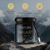 Shilajit Résine originale 60 g avec cuillère – Acide fulvique + acide humique + 85 minéraux | Avec rapport de laboratoire et 