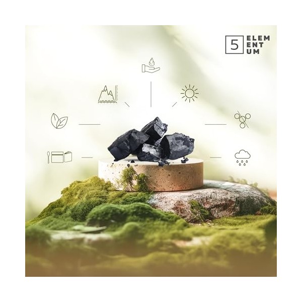 Shilajit Pur de l’Himalaya – 85% Acide Fulvique – 15 g | Format 30 Jours