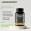 SCHWARZESGOLD® Shilajit Capsules dorigine hautement dosées – Extrait 10:1 – 83 % dacide fulvique | Mise en bouteille et tes