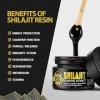 Shilajit Original Himalaya, Résine Shilajitn Hautement Concentrée, Résine Shilajit Naturelle, avec Plus de 85 Oligo-Éléments 