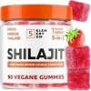Gommes Shilajit Fraise – 2200 mg – Avec Lion’s Mane, Reishi, Chaga, Cordyceps – 90 pièces Shilajit