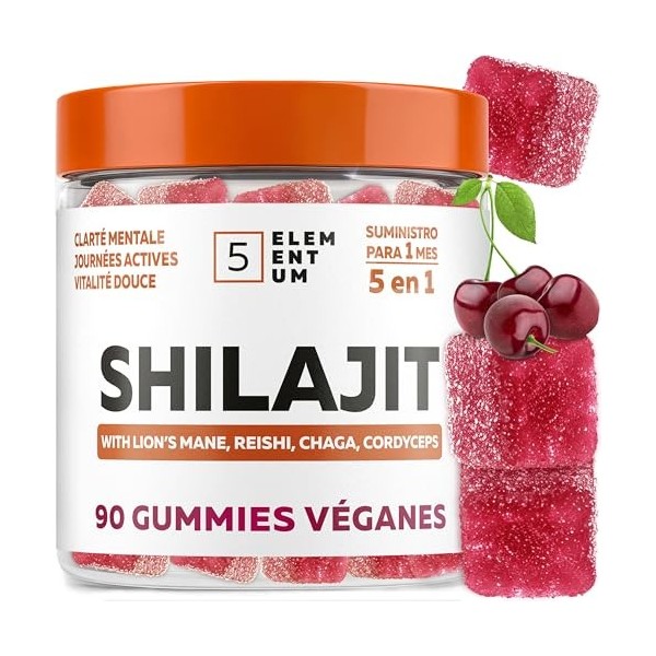 Gommes Shilajit Fraise – 2200 mg – Avec Lion’s Mane, Reishi, Chaga, Cordyceps – 90 pièces Shilajit