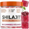 Gommes Shilajit Fraise – 2200 mg – Avec Lion’s Mane, Reishi, Chaga, Cordyceps – 90 pièces Shilajit