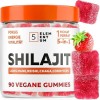 Gommes Shilajit Fraise – 2200 mg – Avec Lion’s Mane, Reishi, Chaga, Cordyceps – 90 pièces Shilajit