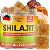 Gommes Shilajit Fraise – 2200 mg – Avec Lion’s Mane, Reishi, Chaga, Cordyceps – 90 pièces Shilajit