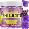 Gommes Shilajit Fraise – 2200 mg – Avec Lion’s Mane, Reishi, Chaga, Cordyceps – 90 pièces Shilajit