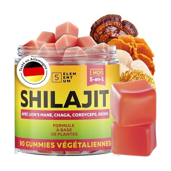 Gommes Shilajit Fraise – 2200 mg – Avec Lion’s Mane, Reishi, Chaga, Cordyceps – 90 pièces Shilajit