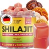 Gommes Shilajit Fraise – 2200 mg – Avec Lion’s Mane, Reishi, Chaga, Cordyceps – 90 pièces Shilajit