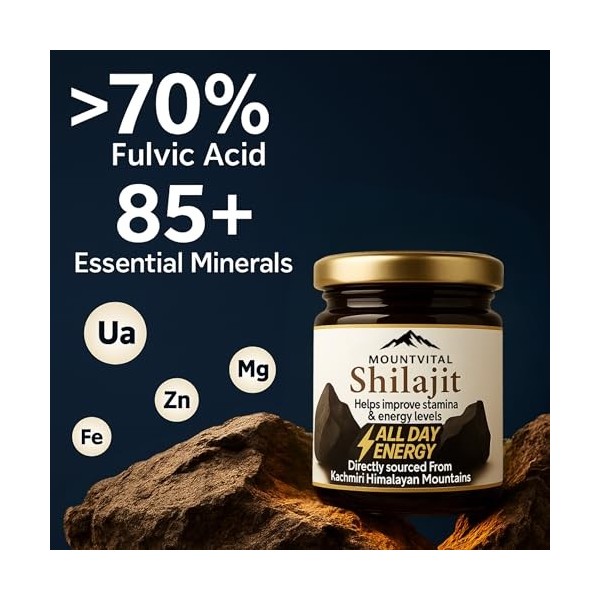 MOUNTVITAL Résine pure de Shilajit du Cachemire | Source authentique de lHimalaya | Complément ayurvédique 100 % naturel | R