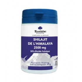 SHILAJIT 2500 mg | Extrait 5:1 Titré à 50% en Acide Fulvique | 90 Comprimés Vegan | Performance & Vitalité Cognition | Résine