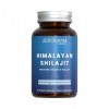 ZEROHARM Shilajit de lHimalaya avec Ashwagandha, Safed Musli et Gokshura – Mélange ayurvédique pour lénergie, lendurance e