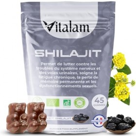 VITALAM Gummies Shilajit Pur Bio en sachet, Shilajit Himalaya, Boost métabolisme, Libido et Energie, Acide Fulvique, Soutien 