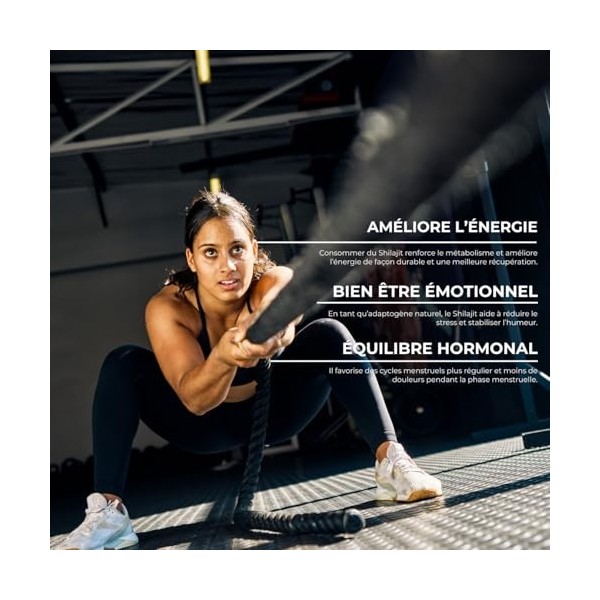 Comprimés de shilajit de lHimalaya - Extrait 100 % pur avec 80 % dacide fulvique - 10 000 mg