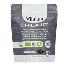 VITALAM Gummies Shilajit Pur Bio, Shilajit Himalaya, Boost métabolisme, Libido et Energie, Acide Fulvique, Soutien Immunitair