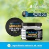 Shilajit Résine 600 mg 20 g par BIOHERBA – Extrait pur de Mumijo avec Chrome | Complément végétal en pâte | Métabolisme & rou...