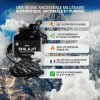 Shilajit Pur de l’Himalaya | Capsules Vegan 1000 mg | Résine Grade Or riche en acide fulvique | Énergie, Vitalité & Bien-être
