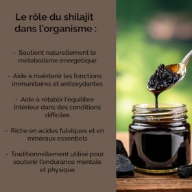 Vitalers Shilajit 400 mg - 60 gélules, Vegan, 2 mois de supplémentation, Sans conservateur, Composition pure Shilajit
