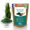 DETOX ORGANICA - Spiruline Poudre Bio - 250g de Poudre Naturelle - Riche en Protéines, Antioxydants, Fer et Phycocyanine - 10...