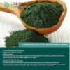 DETOX ORGANICA - Spiruline Poudre Bio - 250g de Poudre Naturelle - Riche en Protéines, Antioxydants, Fer et Phycocyanine - 10...