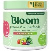 Bloom Superfood Powder Women - mangue - Avec probiotiques, enzymes, spiruline, chlorella - Favorise la santé intestinale, la ...