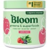 Bloom Superfood Powder Women - mangue - Avec probiotiques, enzymes, spiruline, chlorella - Favorise la santé intestinale, la ...