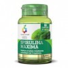 Spirulina Maxima - Supplément de spiruline - Action réparatrice et de soutien pour lorganisme - Vegan et sans gluten, 60 com
