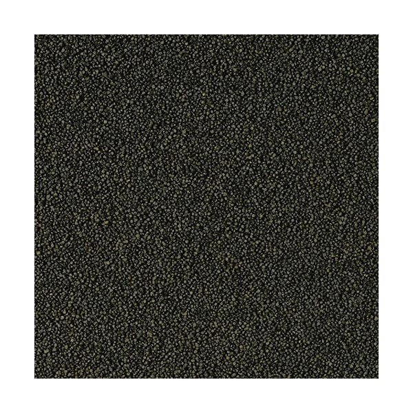 Tropical Super Spirulina Forte Mini Nourriture en granulés avec 36% de spiruline platensis 100 ML Spiruline