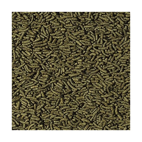 Tropical Cichlid SPIRULINA Medium Sticks 1000ml / 360g - Bâtonnets avec spiruline pour cichlidés herbivores de Taille Moyenne...