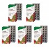 SalusFloralIron Lot de 84 comprimés végétaliens, sans gluten, sous blister, 5 paquets, 420 comprimés au total
