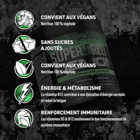 Super Greens Demon – Poudre Superfood Végétalienne 250g, 50 Portions – Mélange Spiruline, Chlorelle, Kale, Épinards – Sans Ad