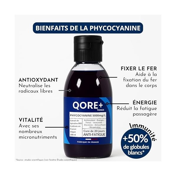 Phycocyanine Liquide 5000 mg/L QORE+ – Spiruline Bleue Française Concentrée Cultivée et Transformée en Provence – Cure Anti-F