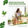 MoriVeda® - Moringa Detox 900mg Tabs - 360 ou 120 - moringa, herbe dorge, graines de lin et spiruline pour la désintoxicatio